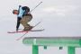 Guide to Freestyle Skiing