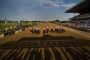 Stay Lucky Picks for Action-Packed Belmont Stakes Weekend