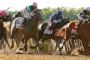 Sir Winston wins Belmont Stakes by a length