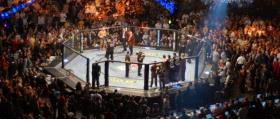 Watch Any UFC Fight - TV Schedules, PPV, Online Streaming, Bar Finder
