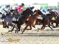 Belmont Stakes 2019 (Full Race)