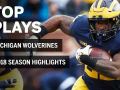 2018 Season Highlights: Michigan Wolverines