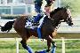Pharoah bows out in 'race for the ages' Pharoah bows out in 'race for the ages'