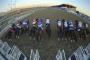 Breeders' Cup Betting Guide to Favorites and Dark Horses Breeders' Cup Betting Guide to Favorites and Dark Horses