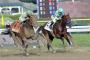 Breeders' Cup 2015: Weekend Race Schedule, Prize-Money Info and More Breeders' Cup 2015: Weekend Race Schedule, Prize-Money Info and More