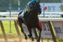 Breeders' Cup Classic 2015 post position draw: American Pharoah draws the No. 4 gate Breeders' Cup Classic 2015 post position draw: American Pharoah draws the No. 4 gate