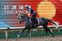 UPI Horse Racing Weekend Preview UPI Horse Racing Weekend Preview