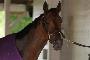 2016 Kentucky Derby post time, start time, field, TV and more (photos) 2016 Kentucky Derby post time, start time, field, TV and more (photos)