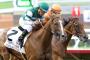 Trying to pick a winner in Friday's Breeders' Cup Distaff is the toughest of tasks Trying to pick a winner in Friday's Breeders' Cup Distaff is the toughest of tasks