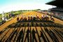 Belmont Stakes 2017: Date, post time, start, TV & live streams Belmont Stakes 2017: Date, post time, start, TV & live streams