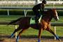 Kentucky Derby Preview: Justify Is The Colt To Beat Kentucky Derby Preview: Justify Is The Colt To Beat