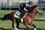 Kentucky Derby 2018: How Audible, the horse, found a big fan in company with same name Kentucky Derby 2018: How Audible, the horse, found a big fan in company with same name