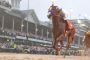 Kentucky Derby 2018 results, winner: Justify pulls away to deliver fifth win to Bob Baffert Kentucky Derby 2018 results, winner: Justify pulls away to deliver fifth win to Bob Baffert