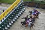 Preakness Stakes Longshots and Underdog Predictions Preakness Stakes Longshots and Underdog Predictions