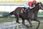 Change of Plans Brings Bourbon War to the Preakness Stakes Change of Plans Brings Bourbon War to the Preakness Stakes