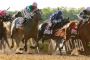 Sir Winston wins Belmont Stakes by a length Sir Winston wins Belmont Stakes by a length