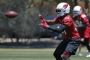 Looking for big season, David Johnson eyes revamped Cardinals offense Looking for big season, David Johnson eyes revamped Cardinals offense
