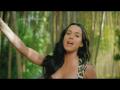 Katy Perry to Perform Super Bowl Halftime Show Katy Perry to Perform Super Bowl Halftime Show