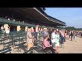 Fans at Keeneland cheer as American Pharoah wins Triple Crown Fans at Keeneland cheer as American Pharoah wins Triple Crown