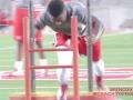Houston Cougar Football Offseason Workout Video Houston Cougar Football Offseason Workout Video