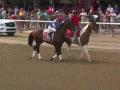 Runhappy Ready for 2015 Breeders' Cup Sprint Runhappy Ready for 2015 Breeders' Cup Sprint
