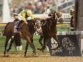 Tom Durkin: Best Breeders' Cup Race Calls Tom Durkin: Best Breeders' Cup Race Calls