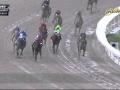 Nyquist Tops Mohaymen in Florida Derby Nyquist Tops Mohaymen in Florida Derby