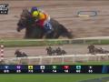 2016 Santa Anita Derby Featuring Exaggerator 2016 Santa Anita Derby Featuring Exaggerator