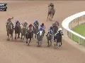 2016 Arkansas Derby Featuring Creator 2016 Arkansas Derby Featuring Creator