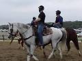 Destin and Stradivari at Belmont Park Destin and Stradivari at Belmont Park