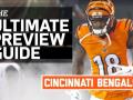 Bengals 2016 Team Preview (Infographic) Bengals 2016 Team Preview (Infographic)