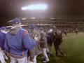 Cubs On Field Celebration Cubs On Field Celebration