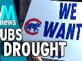 Chicago Cubs in the World Series, 3 Facts About Ending Their Drought Chicago Cubs in the World Series, 3 Facts About Ending Their Drought