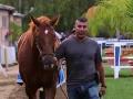 BC16: Prepping for the Breeders' Cup BC16: Prepping for the Breeders' Cup