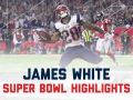 James White Sets Super Bowl Record James White Sets Super Bowl Record