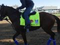 Interview with Triple Crown Winning Jockey, Victor Espinoza Interview with Triple Crown Winning Jockey, Victor Espinoza