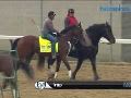 Kentucky Derby and Oaks horses train Kentucky Derby and Oaks horses train