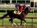2017 Kentucky Derby: Who are the contenders? 2017 Kentucky Derby: Who are the contenders?