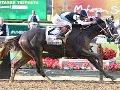 Tapwrit passes Irish War Cry to win 2017 Belmont Stakes Tapwrit passes Irish War Cry to win 2017 Belmont Stakes