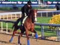 Placing bets? The names you need to know for the Kentucky Derby Placing bets? The names you need to know for the Kentucky Derby