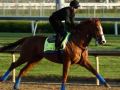 Kentucky Derby Preview: Justify Is The Colt To Beat Kentucky Derby Preview: Justify Is The Colt To Beat