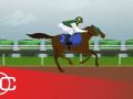 Justify is the favorite horse to win the Kentucky Derby Justify is the favorite horse to win the Kentucky Derby