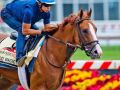 Early Preakness 2018 odds and analysis Early Preakness 2018 odds and analysis