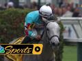 2018 Black-Eyed Susan Stakes - Full Race 2018 Black-Eyed Susan Stakes - Full Race