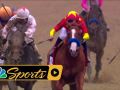 How Justify won the Belmont Stakes, Triple Crown How Justify won the Belmont Stakes, Triple Crown