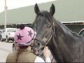 Kentucky Derby Handicappers' Preview Kentucky Derby Handicappers' Preview