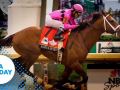 Maximum Security owner appeals Derby disqualification Maximum Security owner appeals Derby disqualification