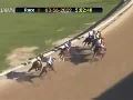 Can improbable win the 2019 preakness stakes Can improbable win the 2019 preakness stakes